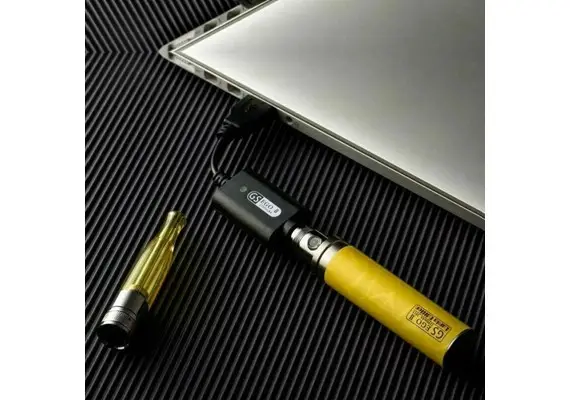 EGO-2-MEGA-KIT-CHARGING EGO 2 MEGA KIT CHARGING IN LAPTOP
